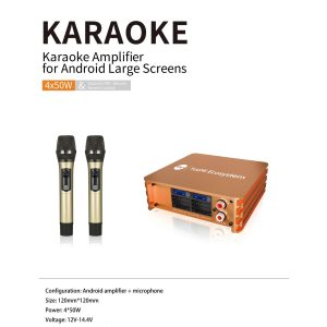 Yuemi Karaoke Amplifier A10K