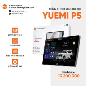 Yuemi Car Infotainment System P5