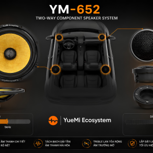 Cấu trúc loa YM-652
