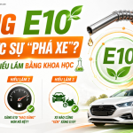 Xăng E10 Có Thực Sự “Phá Xe”? Giải Mã Mọi Hiểu Lầm Bằng Khoa Học