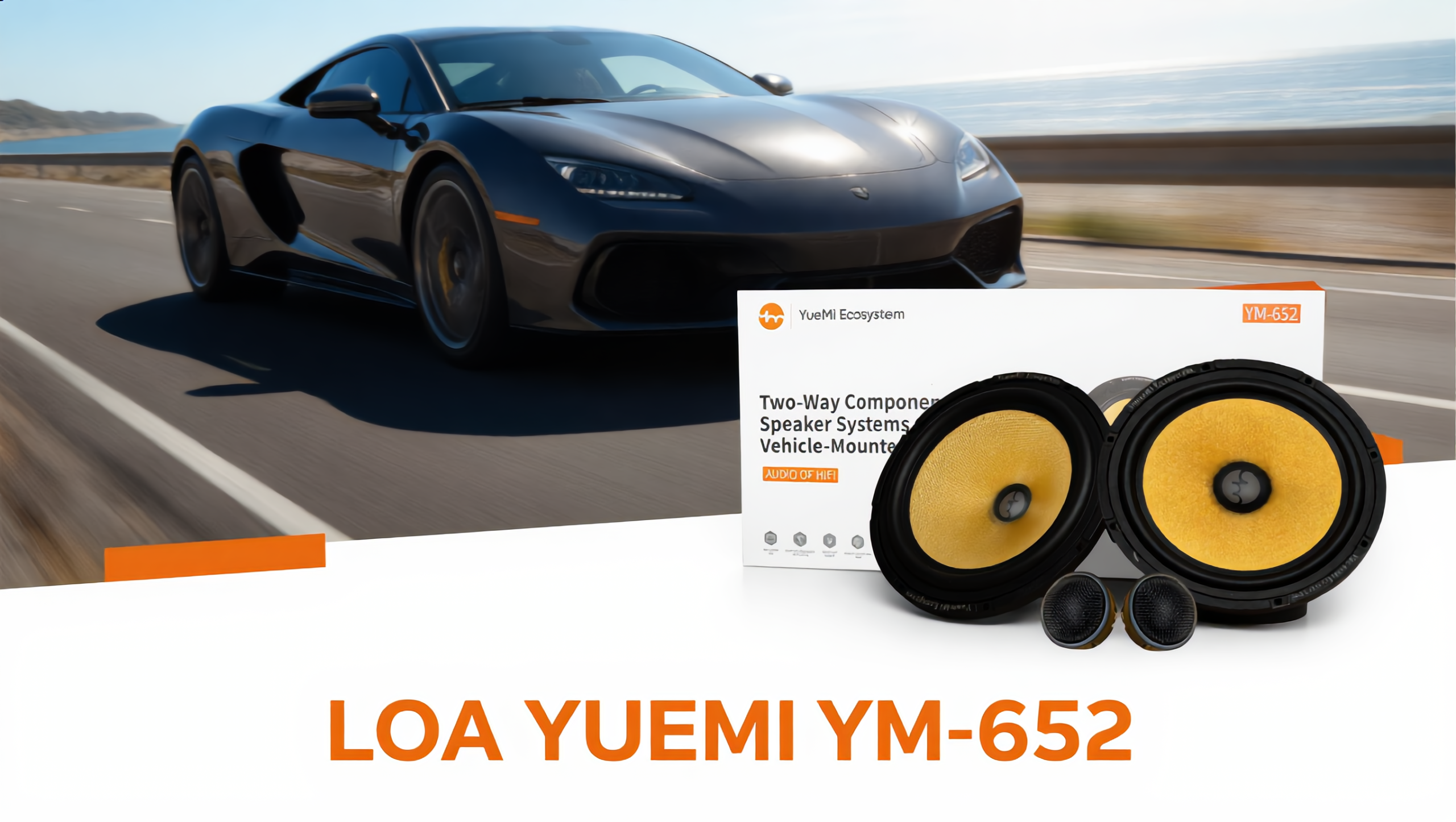 Loa Yuemi YM652